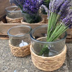 ST Glaslanterne / vase med flet - 1 stor og 1 lille