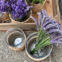 ST Glaslanterne / vase med flet - 1 stor og 1 lille